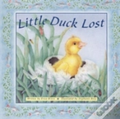 Capa do artigo Little Duck Lost