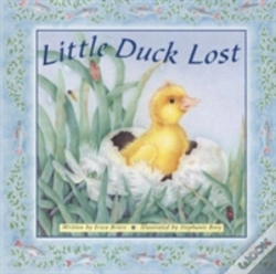 Capa do artigo Little Duck Lost