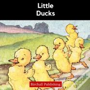 Little Ducks