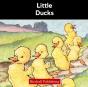 Little Ducks - Preview