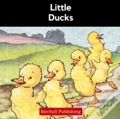 Capa do artigo Little Ducks
