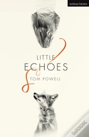 Capa do artigo Little Echoes