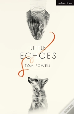 Capa do artigo Little Echoes
