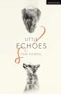 Little Echoes - Preview