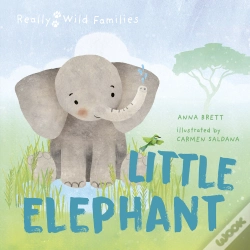 Capa do artigo Little Elephant