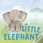 Capa do artigo Little Elephant