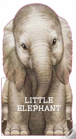 Capa do artigo Little Elephant