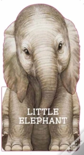 Little Elephant