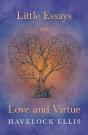Little Essays On Love And Virtue - Preview