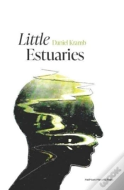 Capa do artigo Little Estuaries