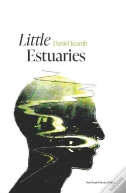 Capa do artigo Little Estuaries