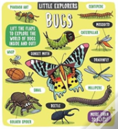 Little Explorers: Bugs
