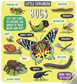 Capa do artigo Little Explorers: Bugs