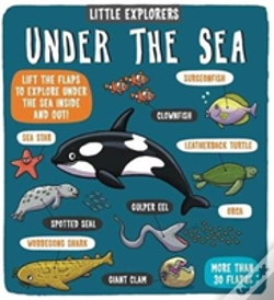 Capa do artigo Little Explorers: Under The Sea