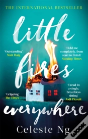 Capa do artigo Little Fires Everywhere