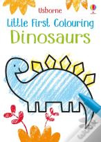 Little First Colouring Dinosaurs