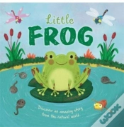Capa do artigo Little Frog