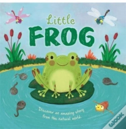 Capa do artigo Little Frog