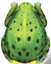 Little Frog