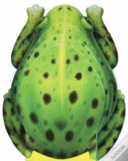 Capa do artigo Little Frog