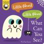 Little Ghost! Little Ghost! What Can You See? - Preview
