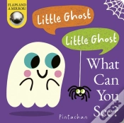 Capa do artigo Little Ghost! Little Ghost! What Can You See?
