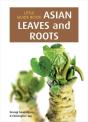 Little Guide Book: Asian Leaves & Roots - Preview