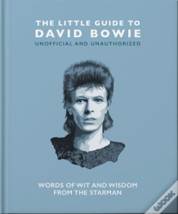 Capa do artigo Little Guide To David Bowie