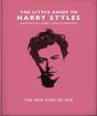 Little Guide To Harry Styles - Preview