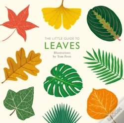 Capa do artigo Little Guide To Leaves