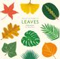 Little Guide To Leaves - Preview