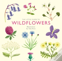 Capa do artigo Little Guide To Wildflowers
