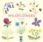 Little Guide To Wildflowers - Preview