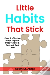 Capa do artigo Little Habits That Stick