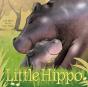 Little Hippo - Preview