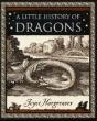 Little History Of Dragons - Preview