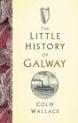 Little History Of Galway - Preview