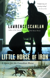 Capa do artigo Little Horse Of Iron