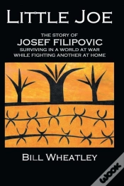 Capa do artigo Little Joe