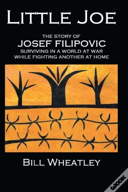 Capa do artigo Little Joe
