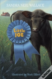 Capa do artigo Little Joe