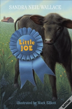 Capa do artigo Little Joe
