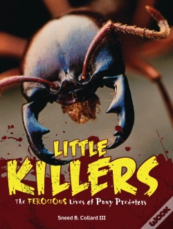 Capa do artigo Little Killers