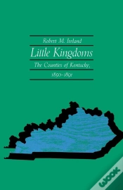 Capa do artigo Little Kingdoms