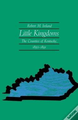 Capa do artigo Little Kingdoms