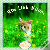 Little Kitten