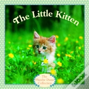 Capa do artigo Little Kitten