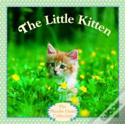 Little Kitten
