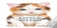Little Kitten