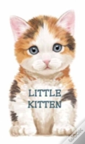 Capa do artigo Little Kitten